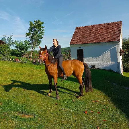 Pferdehof In Der Oststeiermark Сasa de vacaciones