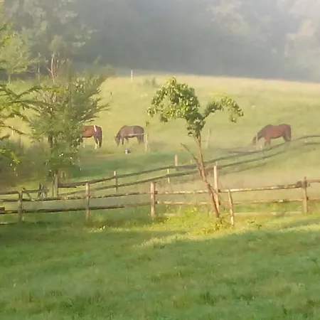 بيت للعطل Pferdehof In Der Oststeiermark *