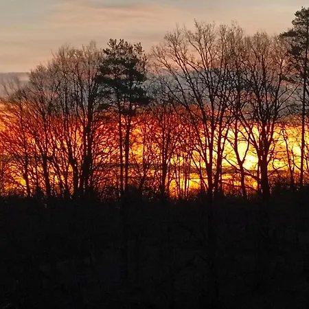 Pferdehof In Der Oststeiermark