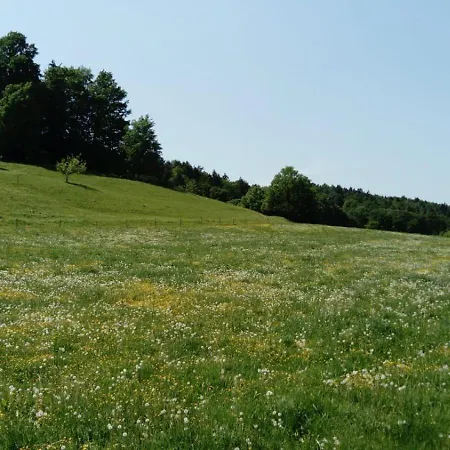 بيت للعطل Pferdehof In Der Oststeiermark Elxenbach