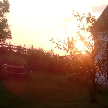 Pferdehof In Der Oststeiermark Elxenbach