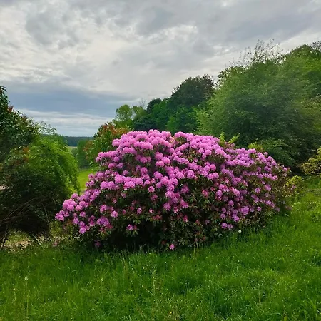Pferdehof In Der Oststeiermark *