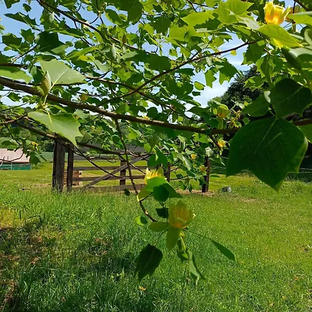 Сasa de vacaciones Pferdehof In Der Oststeiermark *