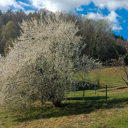 Сasa de vacaciones Pferdehof In Der Oststeiermark Elxenbach