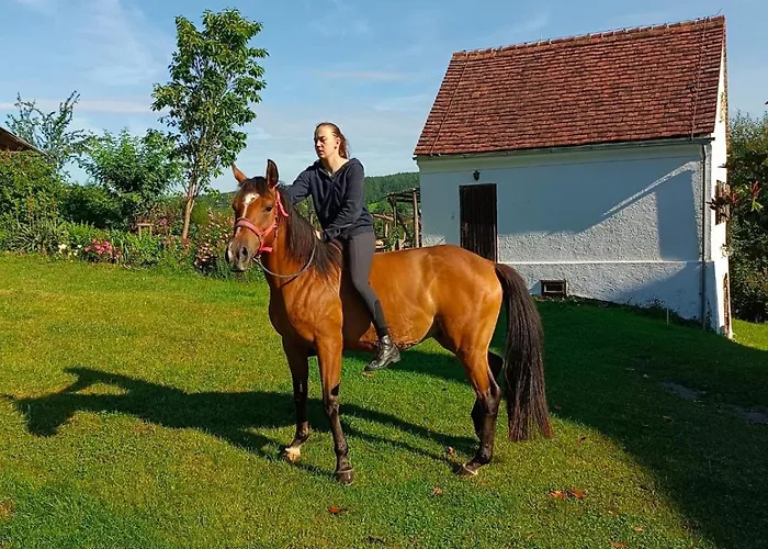 Pferdehof In Der Oststeiermark 度假居