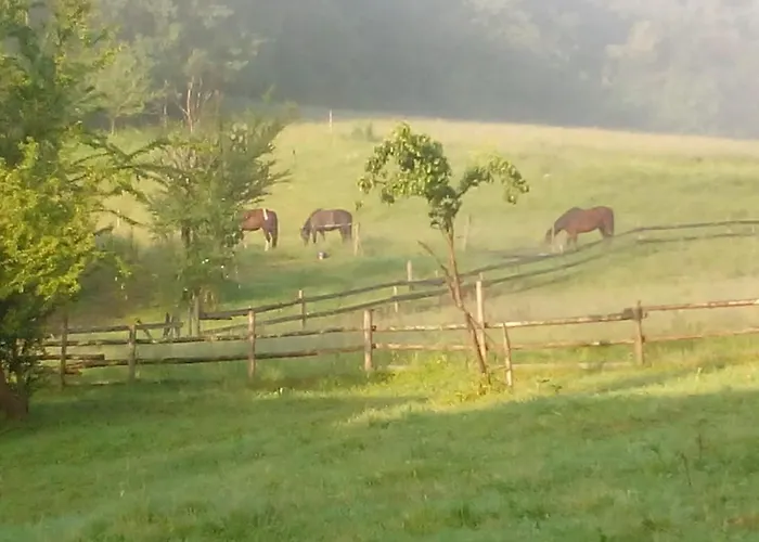 بيت للعطل Pferdehof In Der Oststeiermark *