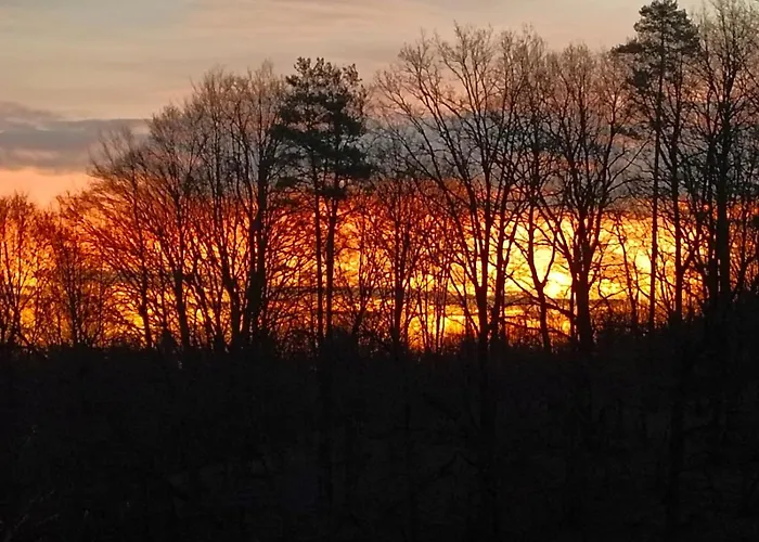 Pferdehof In Der Oststeiermark