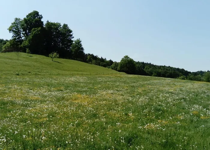 بيت للعطل Pferdehof In Der Oststeiermark Elxenbach