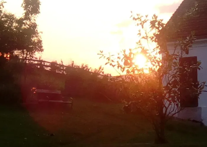 Pferdehof In Der Oststeiermark Elxenbach