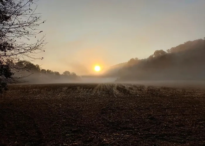 Pferdehof In Der Oststeiermark *