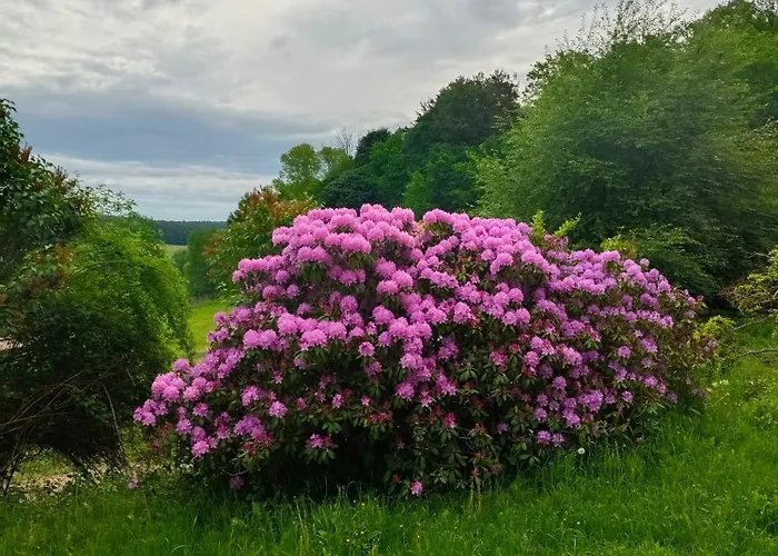 Pferdehof In Der Oststeiermark *
