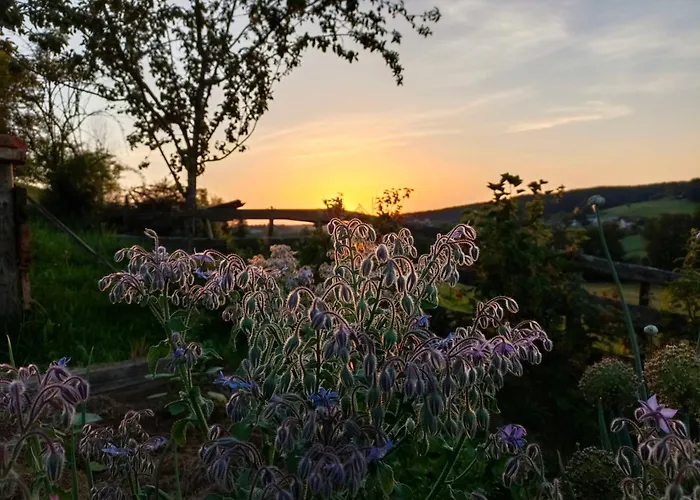 Pferdehof In Der Oststeiermark *