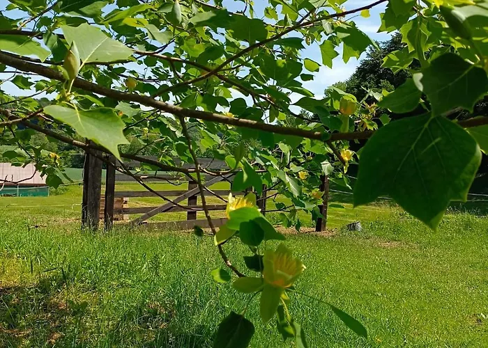 بيت للعطل Pferdehof In Der Oststeiermark *
