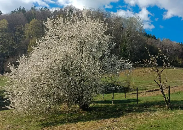 度假居 Pferdehof In Der Oststeiermark Elxenbach